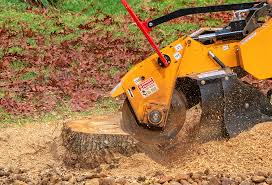 Cottonwood, ID Tree Removal Company
