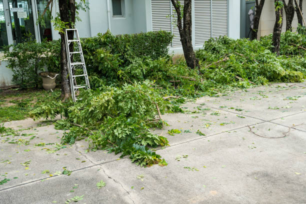 Best Lawn Pest Prevention  in Cottonwood, ID